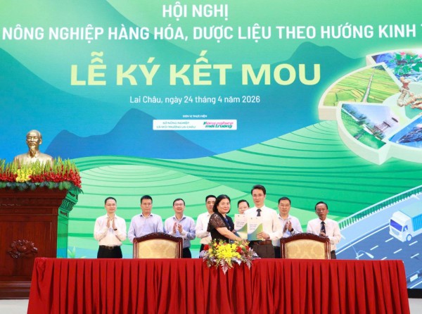 Lai Châu: Thu hút đầu tư phát triển nông nghiệp hàng hóa, dược liệu xanh