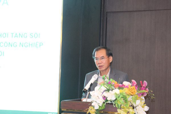 Ngành giấy hướng tới mô hình kinh tế tuần hoàn Ngành giấy hướng tới mô hình kinh tế tuần hoàn