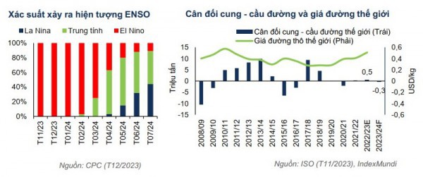 Ngành mía đường năm 2024: Triển vọng sản lượng sản xuất trong nước tích cực