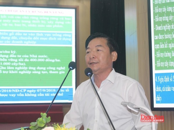 Nghệ An mở lối phát triển chế biến gỗ bền vững