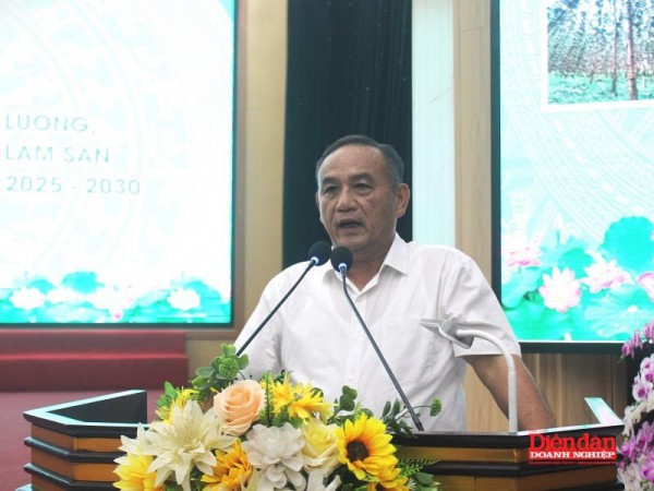 Nghệ An mở lối phát triển chế biến gỗ bền vững