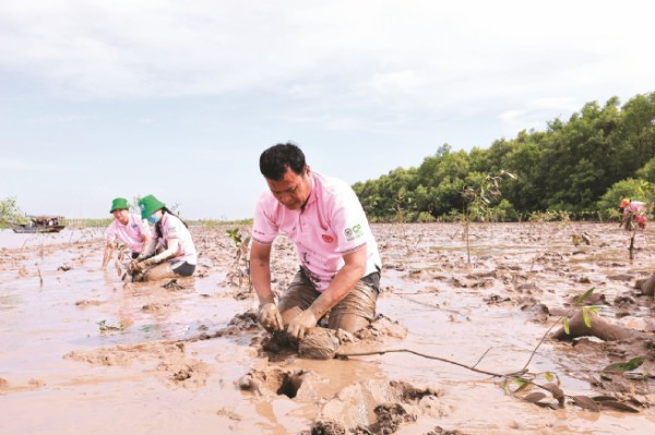 Phát huy vai trò kinh tế tư nhân trong phát triển kinh tế xanh, tuần hoàn