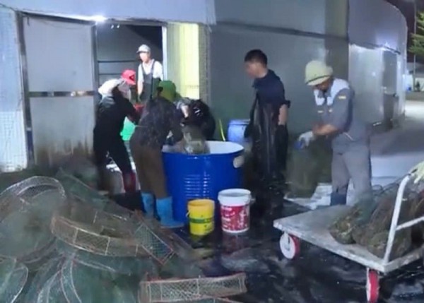 Quảng Ninh đột phá nuôi trồng thủy sản bằng công nghệ 4.0