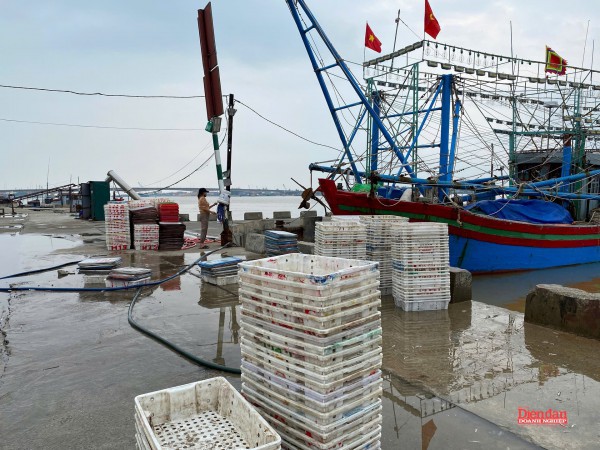 Quảng Trị: chạy nước rút gỡ “thẻ vàng” IUU
