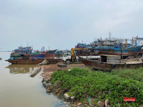 Quảng Trị: chạy nước rút gỡ “thẻ vàng” IUU