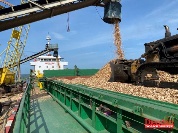 Quảng Trị: giải pháp nào cho cảng hàng hóa Cửa Việt