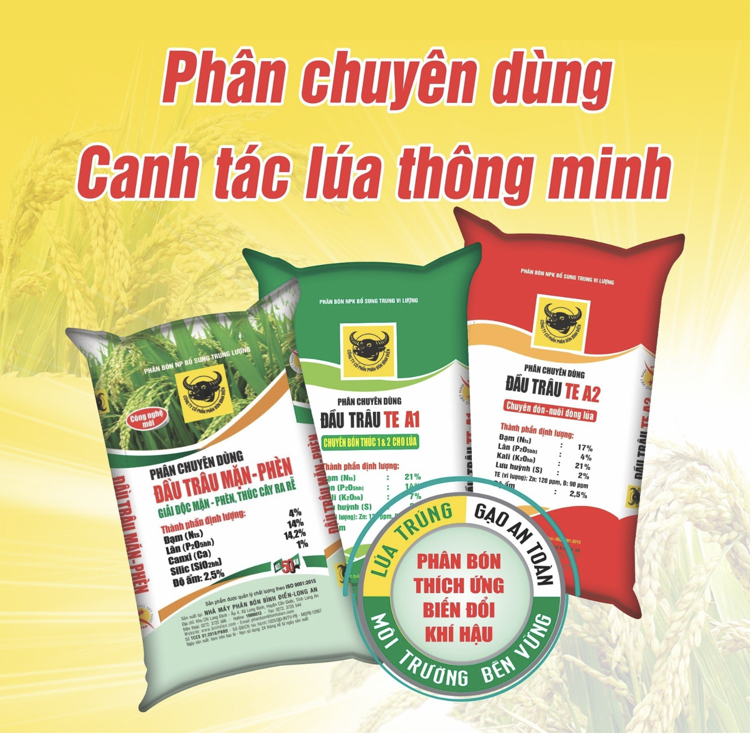 Quy trình canh tác lúa thông minh thích ứng với biến đổi khí hậu ở ĐBSCL được Bộ NN&PTNT công nhận là tiến bộ...