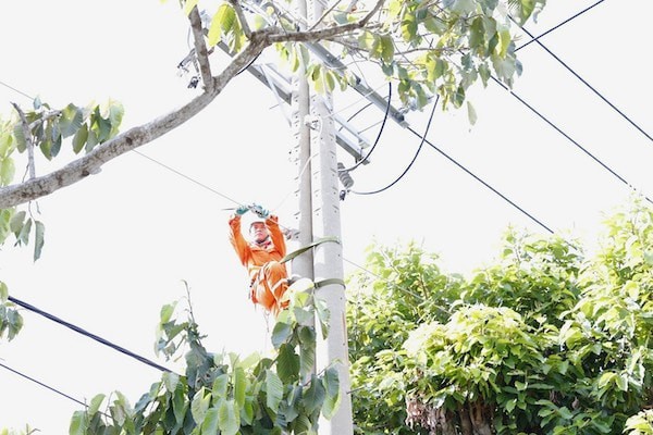 TP Hồ Chí Minh (khu vực Bà Rịa - Vũng Tàu): Ngành điện đáp ứng kịp yêu cầu phát triển