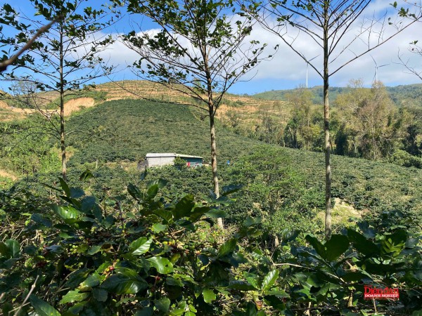 Thoát “ao làng”, OCOP Quảng Trị tìm đường ra thế giới