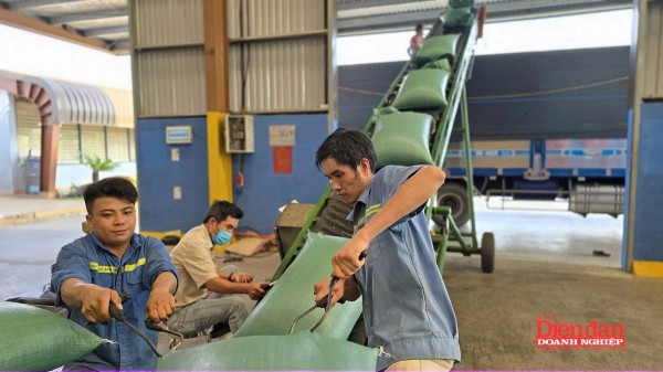 Tín hiệu tích cực trong thu hút đầu tư tại Gia Lai