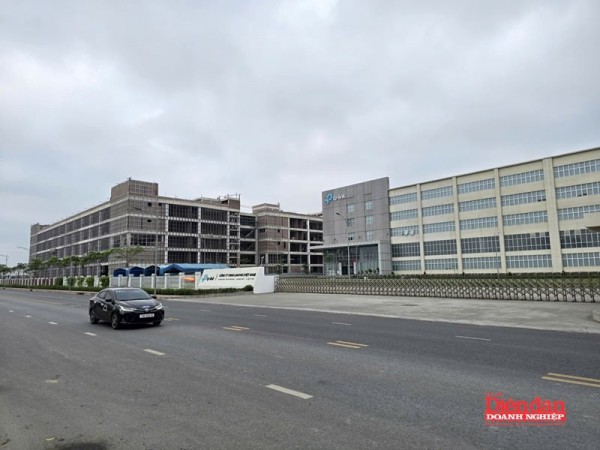 Xúc tiến mở lại đường bay Hải Phòng - Thâm Quyến, thúc đẩy phát triển du lịch và đầu tư