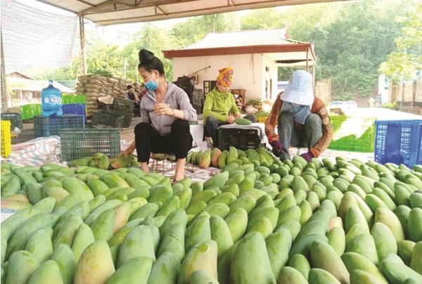 Yên Châu (Sơn La): Phát triển hạ tầng giao thông, thu hút đầu tư