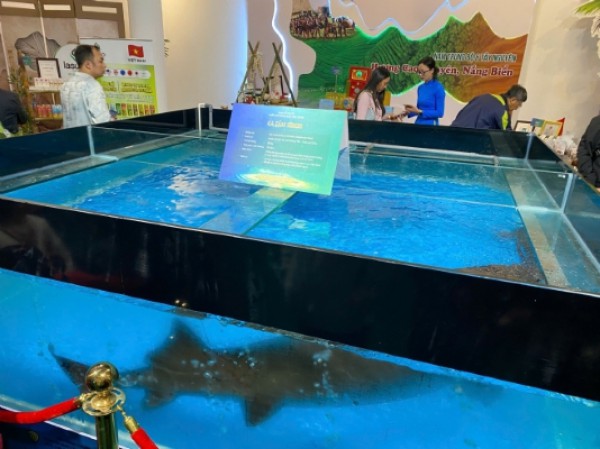 Ba mục tiêu lớn của Tuần lễ Nông sản Việt 2025