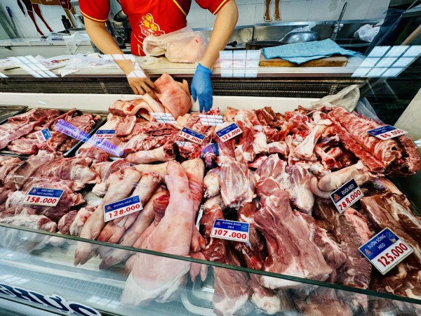 Giá heo hơi hôm nay 12.2.2026: Giảm đồng loạt