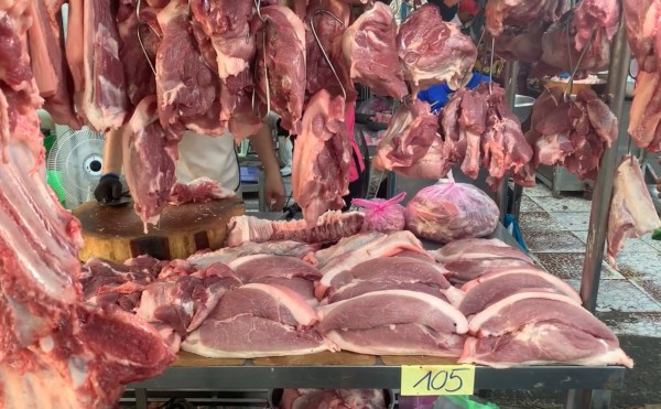 Giá heo hơi hôm nay 16.1.2026: Cao nhất 76.000 đồng/kg