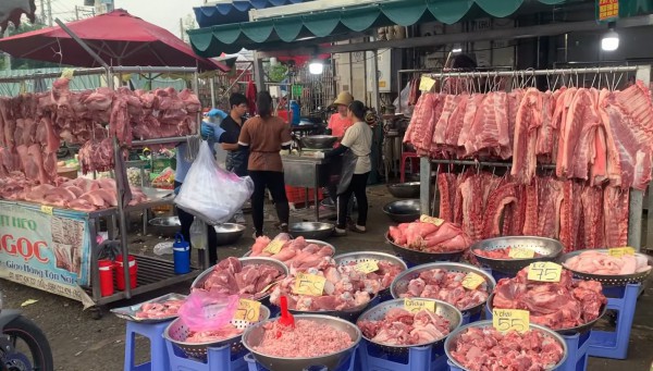 Giá heo hơi hôm nay 17.9.2025: Đồng loạt giảm trên cả nước Giá heo hơi hôm nay 17.9.2025: Đồng loạt giảm trên cả nước