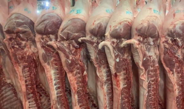 Giá heo hơi hôm nay 1.8.2025: Tăng nhẹ cả 3 miền