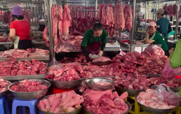 Giá heo hơi hôm nay 18.7.2025: Giảm nhanh xuống mức 64.000 đồng/kg Giá heo hơi hôm nay 18.7.2025: Giảm nhanh xuống mức 64.000 đồng/kg