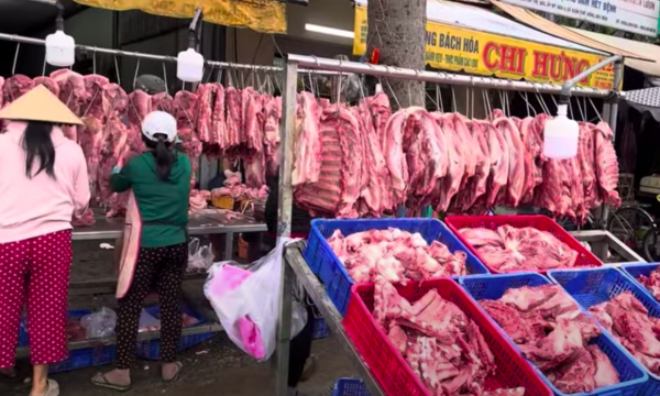 Giá heo hơi hôm nay 19.12.2025: Không còn mức giá dưới 60.000 đồng/kg