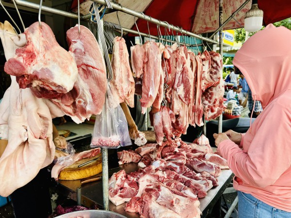 Giá heo hơi hôm nay 19.8.2025: Giảm đồng loạt