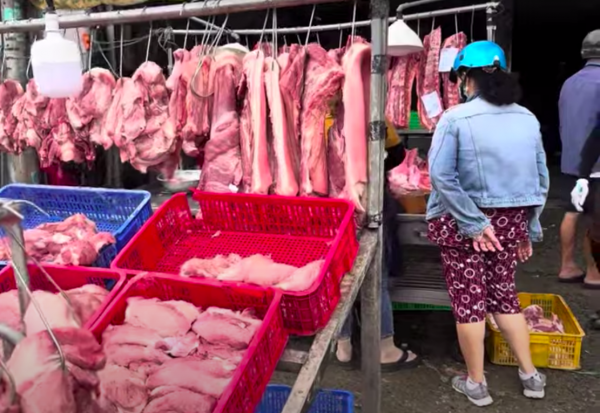 Giá heo hơi hôm nay 24.11.2025: Giữ đà tăng