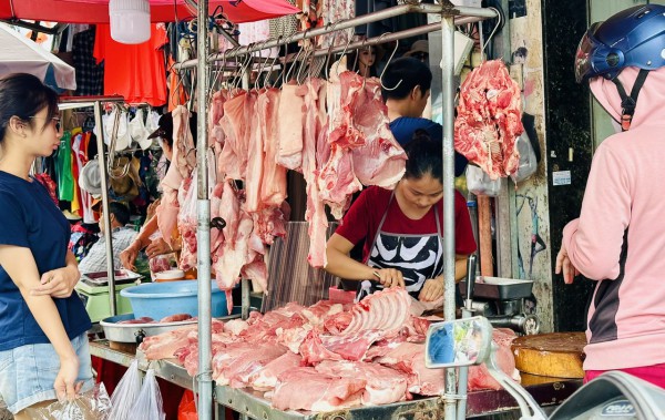 Giá heo hơi hôm nay 26.8.2025: Tiệm cận với thị trường Trung Quốc