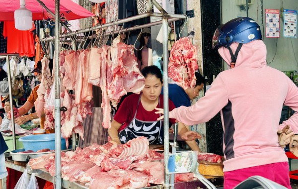 Giá heo hơi hôm nay 27.11.2025: 