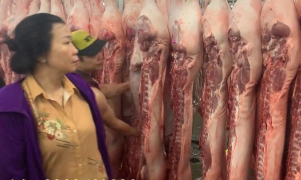 Giá heo hơi hôm nay 27.6.2025: Liệu có giảm tiếp?