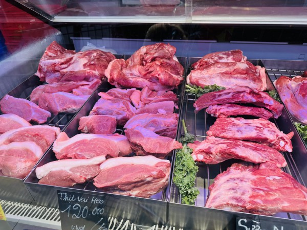 Giá heo hơi hôm nay 28.10.2025:  Giá heo hơi hôm nay 28.10.2025: