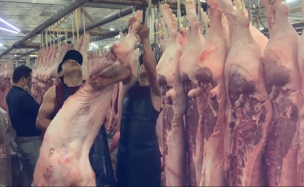 Giá heo hơi hôm nay 4.7.2025: Lùi về mức 68.000 đồng/kg Giá heo hơi hôm nay 4.7.2025: Lùi về mức 68.000 đồng/kg