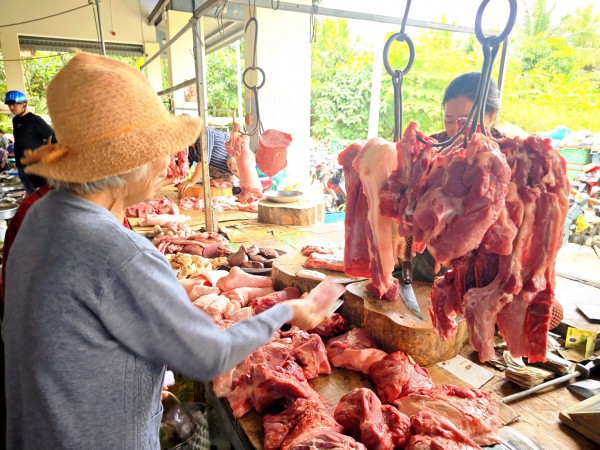 Giá heo hơi hôm nay 6.2026: Xoay chiều tăng