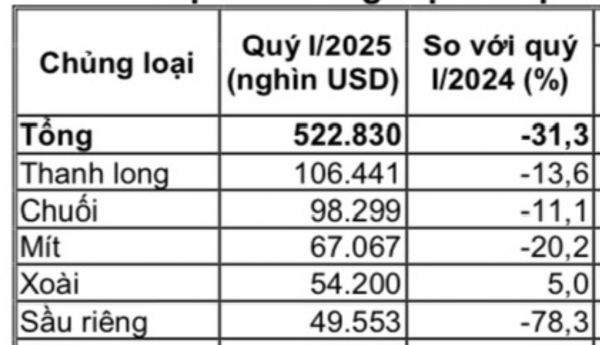Giá mít tại vườn chỉ còn 2.000 - 3.000 đồng/kg Giá mít tại vườn chỉ còn 2.000 - 3.000 đồng/kg