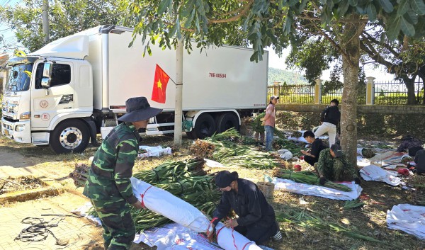 Hoa lay ơn Đà Lạt hút hàng dịp Tết Bính Ngọ, giá tăng mạnh