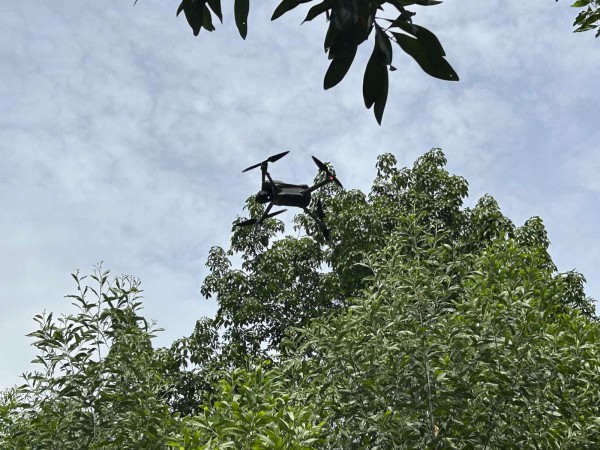 Khi drone tuần thám rừng