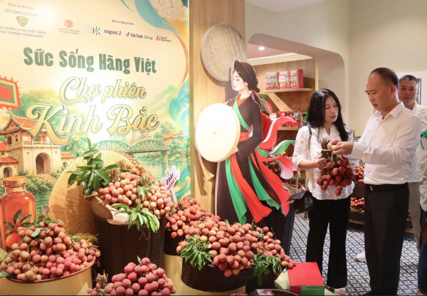 Mỹ, Anh, Pháp, Hà Lan 