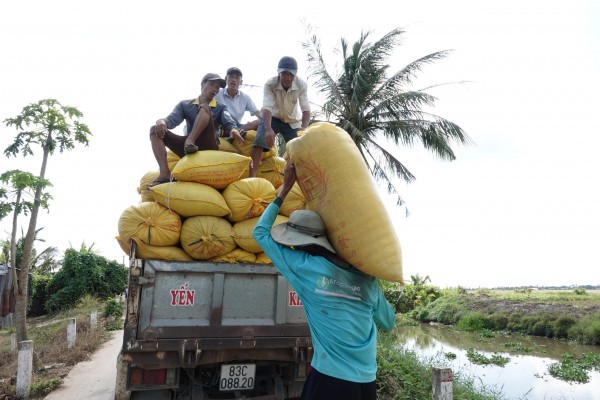 Mỹ dự báo Philippines nhập khẩu gạo kỷ lục tới 5,5 triệu tấn