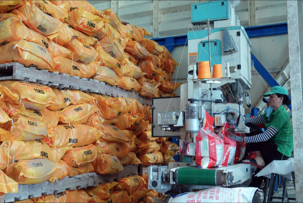 Philippines gom hàng trước 