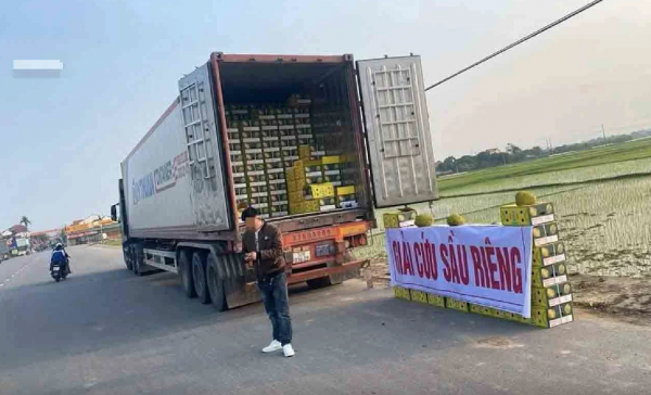 Sầu riêng xuất khẩu 