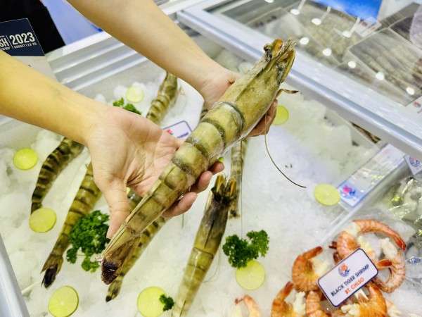 Trung Quốc tăng gom hàng tết, xuất khẩu tôm Việt Nam cao kỷ lục
