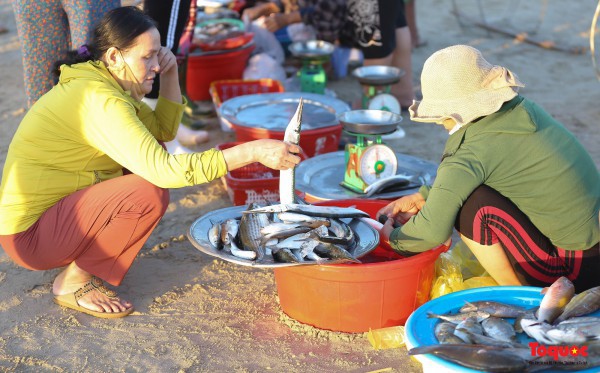 Ảnh: Hải sản tươi rói ở chợ bên bờ biển Đà Nẵng lúc bình minh