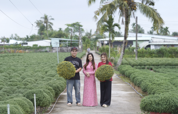 Đơn hàng cây cảnh hoa tết tăng gấp 5 lần trên sàn thương mại điện tử