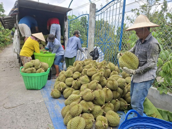 Đồng Tháp kiến nghị 