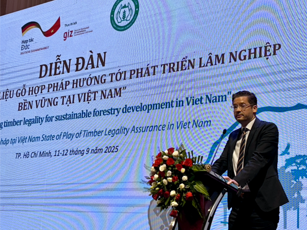 Đức, EU đồng hành cùng Việt Nam đảm bảo nguyên liệu gỗ xuất khẩu