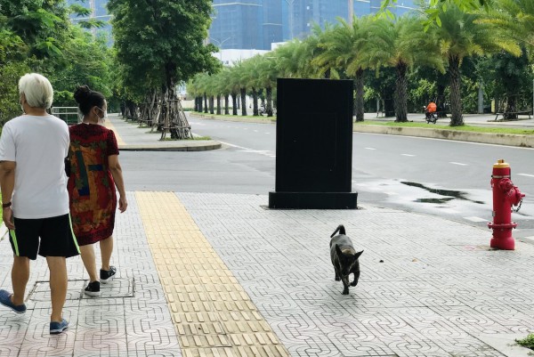 Chịu trách nhiệm hình sự tội gì nếu thú cưng gây chết người?