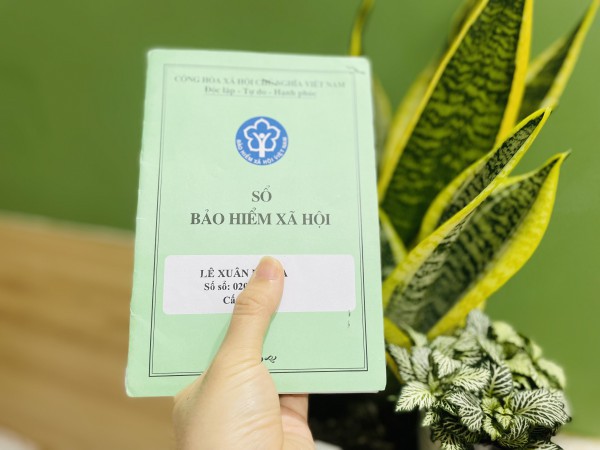 Hưởng trợ cấp ốm đau theo quy định mới như thế nào?
