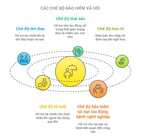 Lao động theo hợp đồng không chính thức phải đóng bảo hiểm xã hội từ 1.7? Lao động theo hợp đồng không chính thức phải đóng bảo hiểm xã hội từ 1.7?