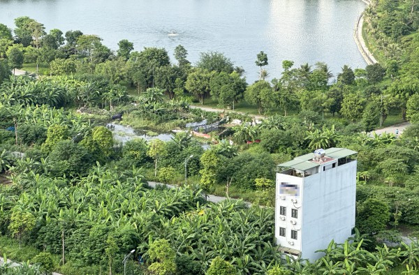 Tranh chấp tài sản giữa chàng rể ngoại quốc và gia đình vợ tại Việt Nam