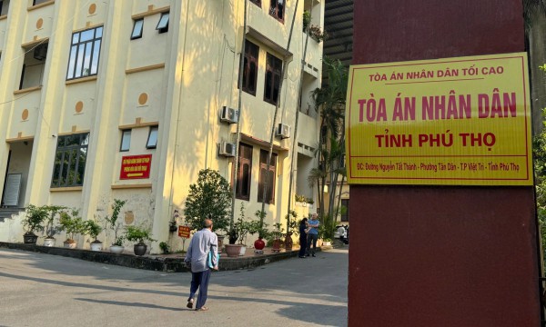 11 anh chị em ruột 