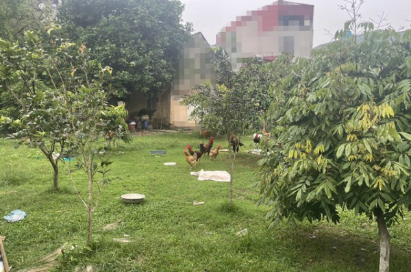 11 anh chị em ruột 