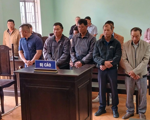 Nhận hối lộ, 3 nhân viên bảo vệ rừng bị phạt tù